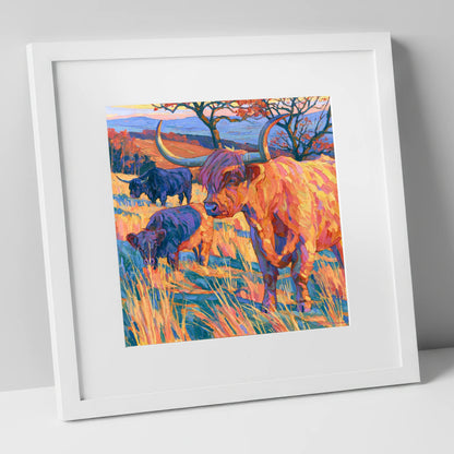 Highland Cattle in Vibrant Fell Light lake district wildlife art print in white frame