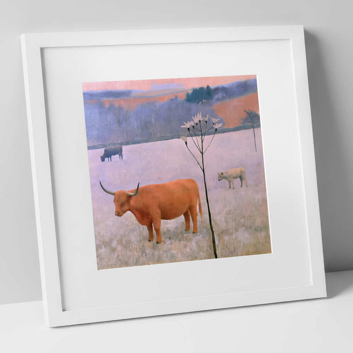 Highland Cattle on Frosted Fells lake district wildlife art print in white frame
