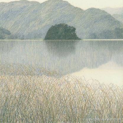 Grasmere Island Through Tall Grasses - lake district lake art print and canvas by Arthur Sterling A.I