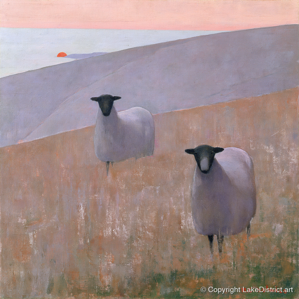 Herdwick Sheep on Lavender Fells - lake district wildlife art print and canvas by Alistair Thorne A.I
