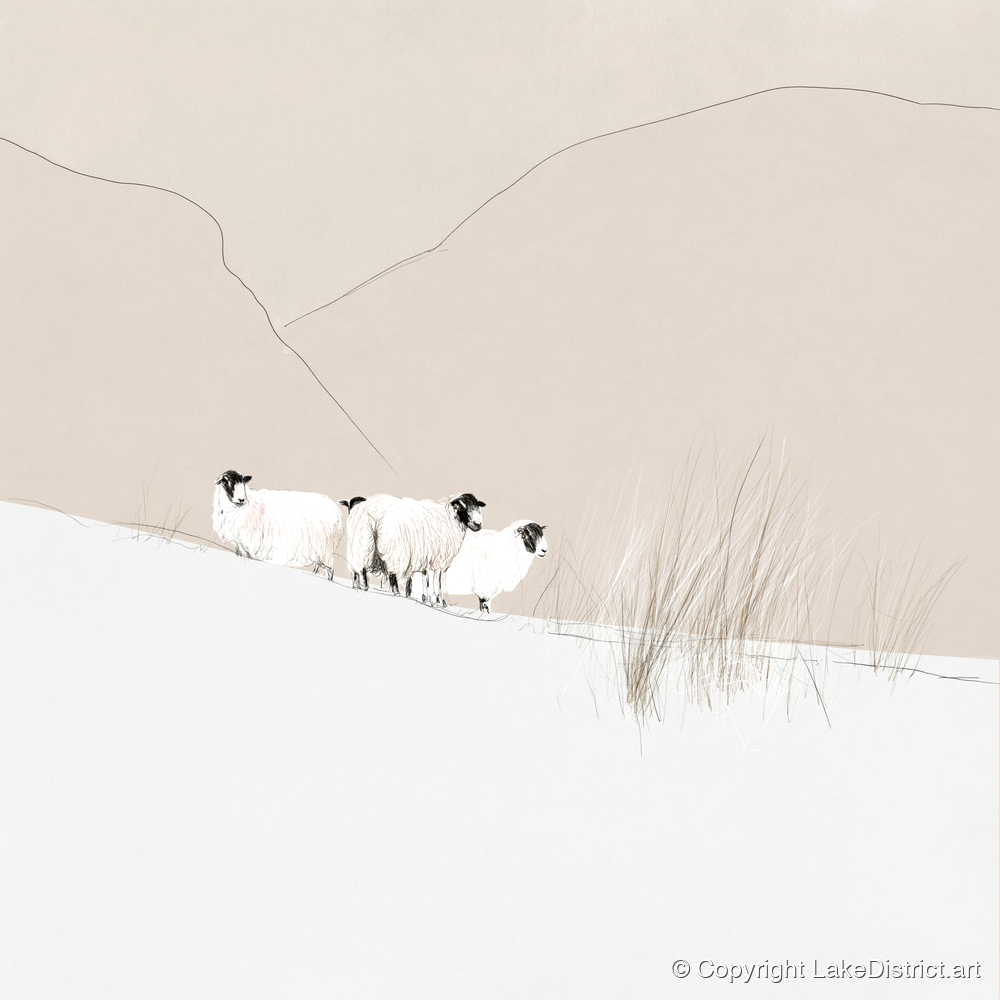 Herdwick Sheep on Minimalist Fell - lake district wildlife art print and canvas by Ellis Calder A.I