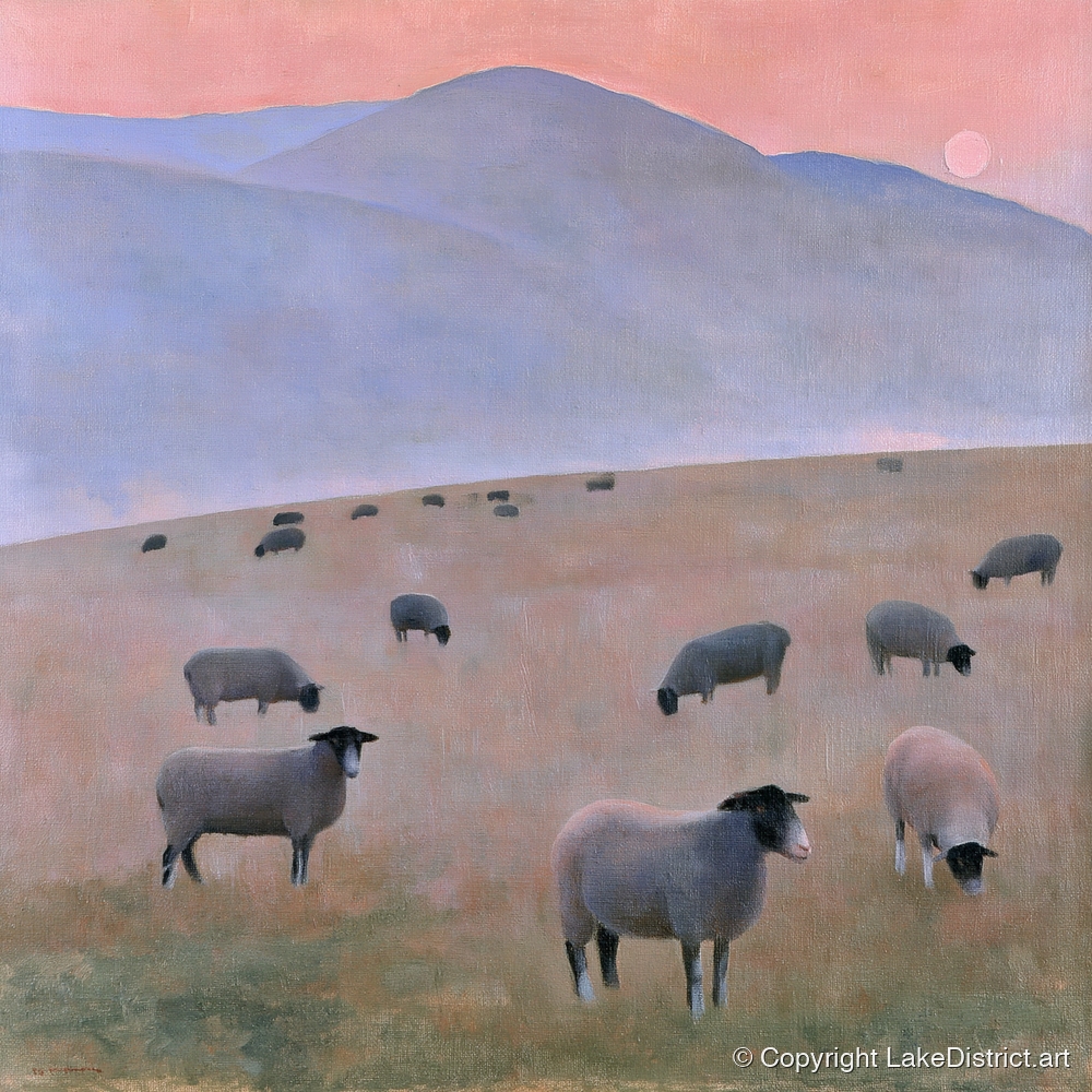 Herdwick Sheep on Pastel Fells - lake district wildlife art print and canvas by Alistair Thorne A.I