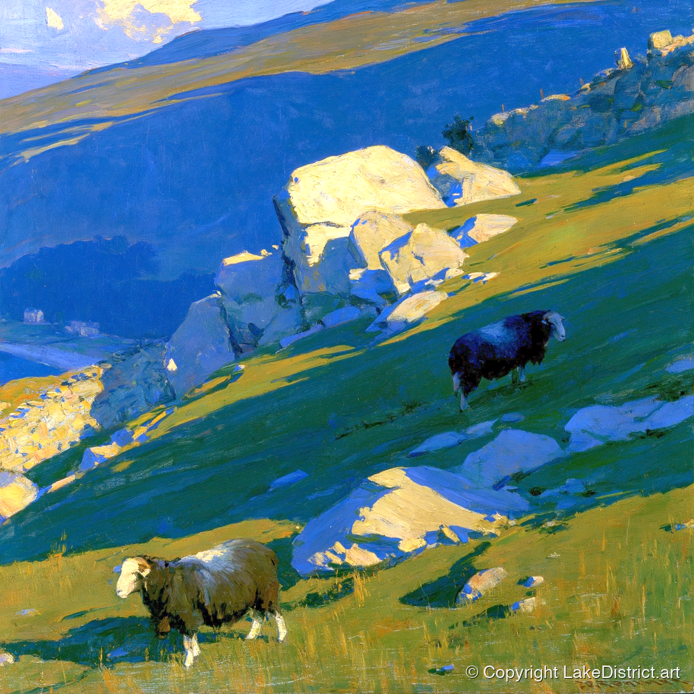 Herdwick Sheep on Sunlit Fell - lake district wildlife art print and canvas by Percival Kent A.I