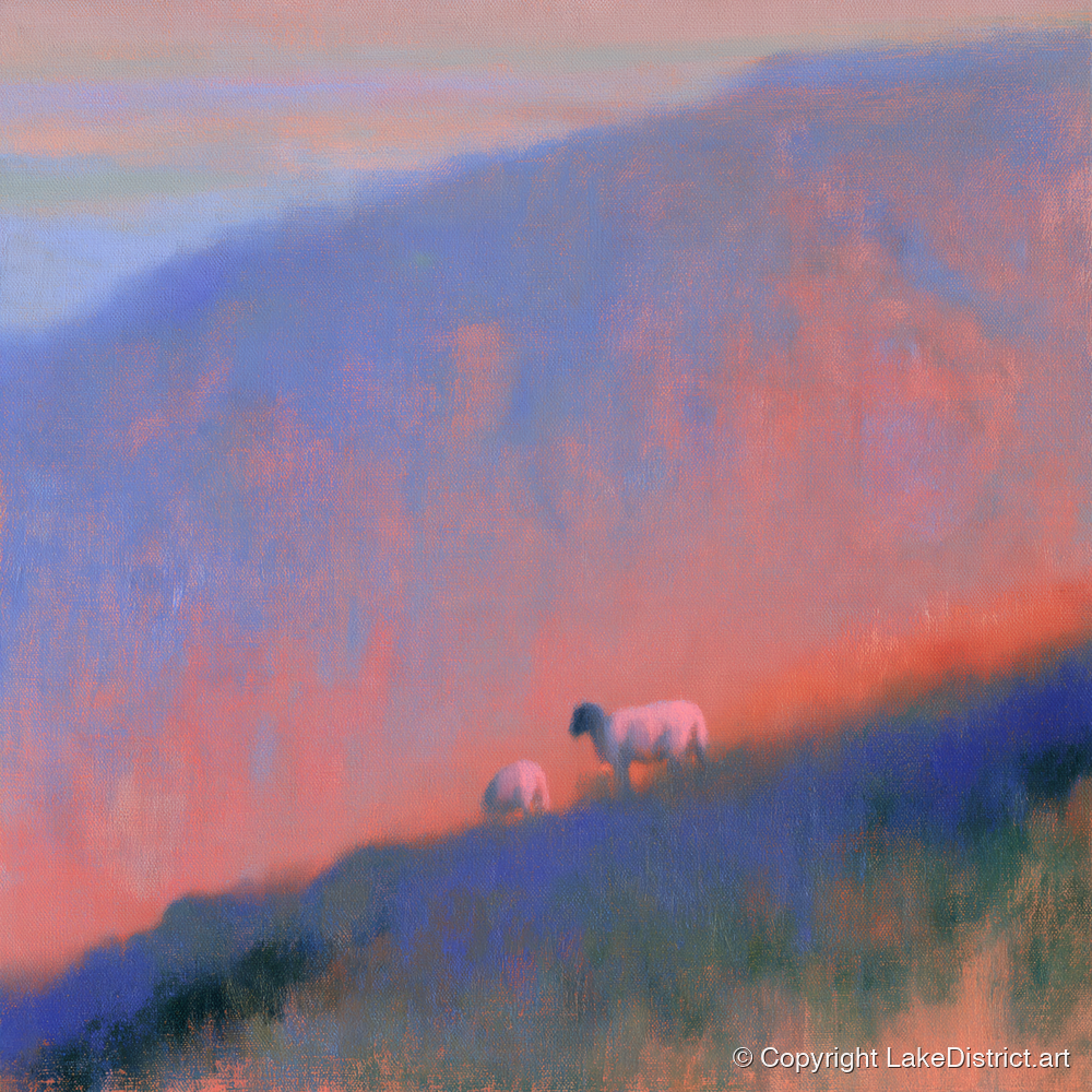 Herdwick Sheep on Twilight Fellside - lake district wildlife art print and canvas by Theodore Vance A.I