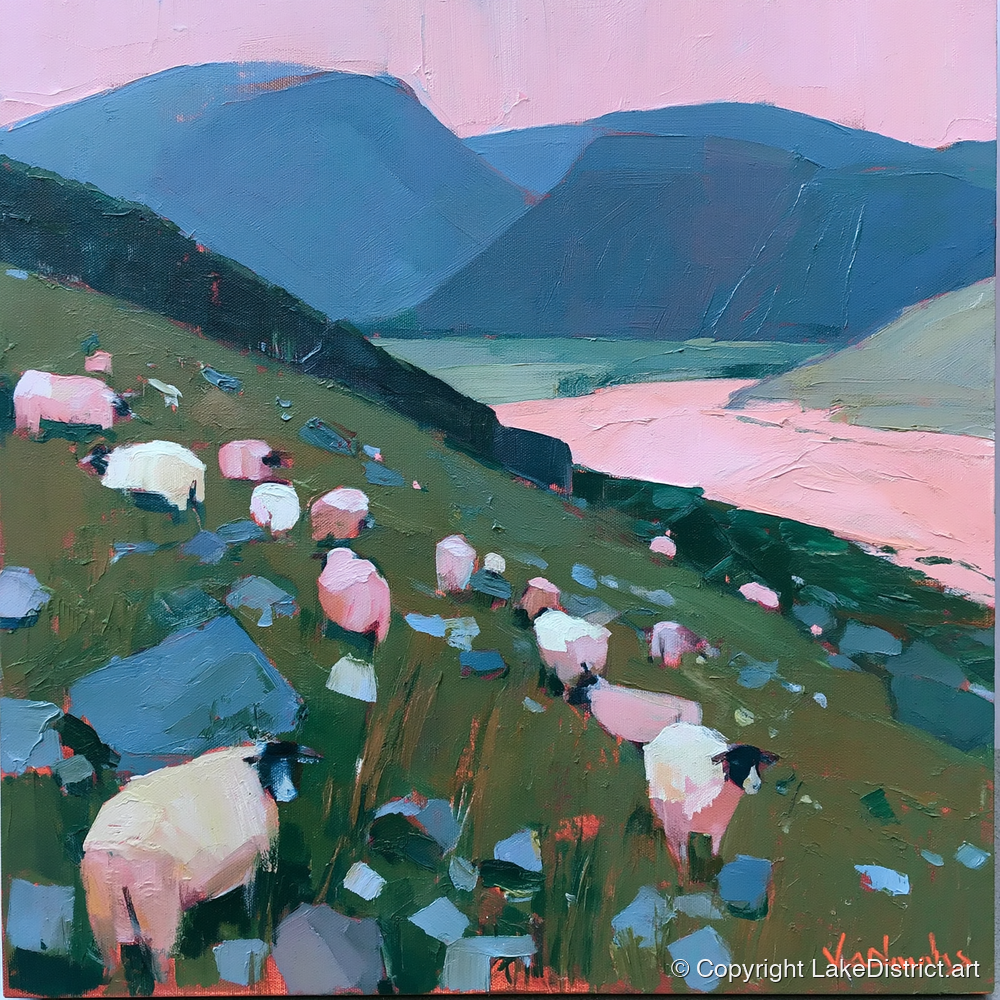 Herdwick Sheep Under Pink Skies - lake district wildlife art print and canvas by Diana Sutherland A.I