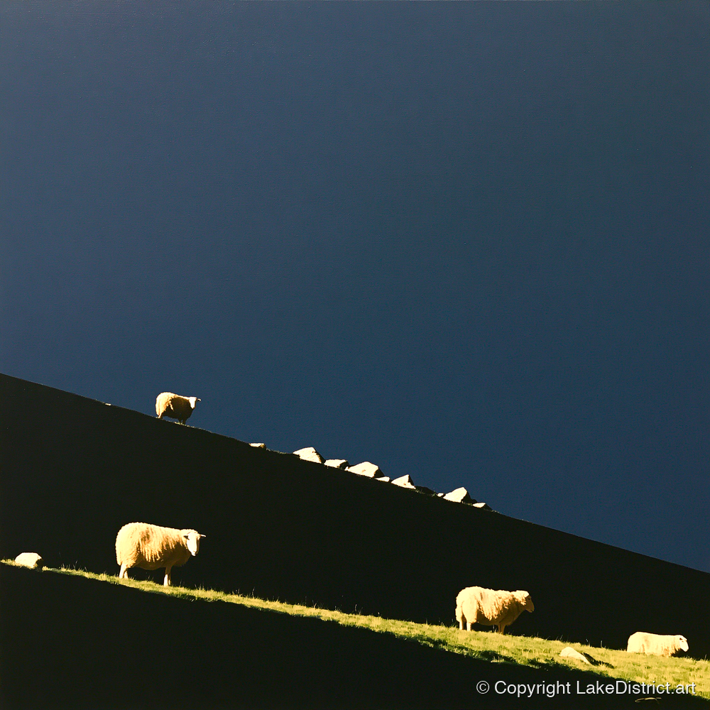 Herdwicks on a Silhouetted Fellside - lake district wildlife art print and canvas by Adelaide Calloway A.I