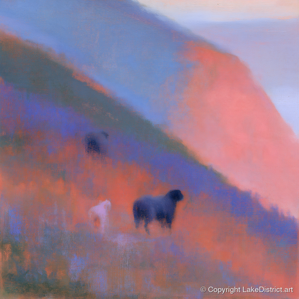 Herdwicks on a Twilight Fellside - lake district wildlife art print and canvas by Theodore Vance A.I