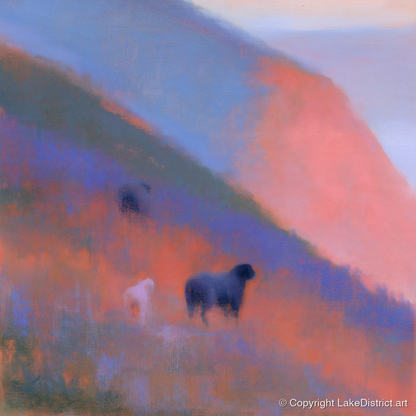 Herdwicks on a Twilight Fellside - lake district wildlife art print and canvas by Theodore Vance A.I