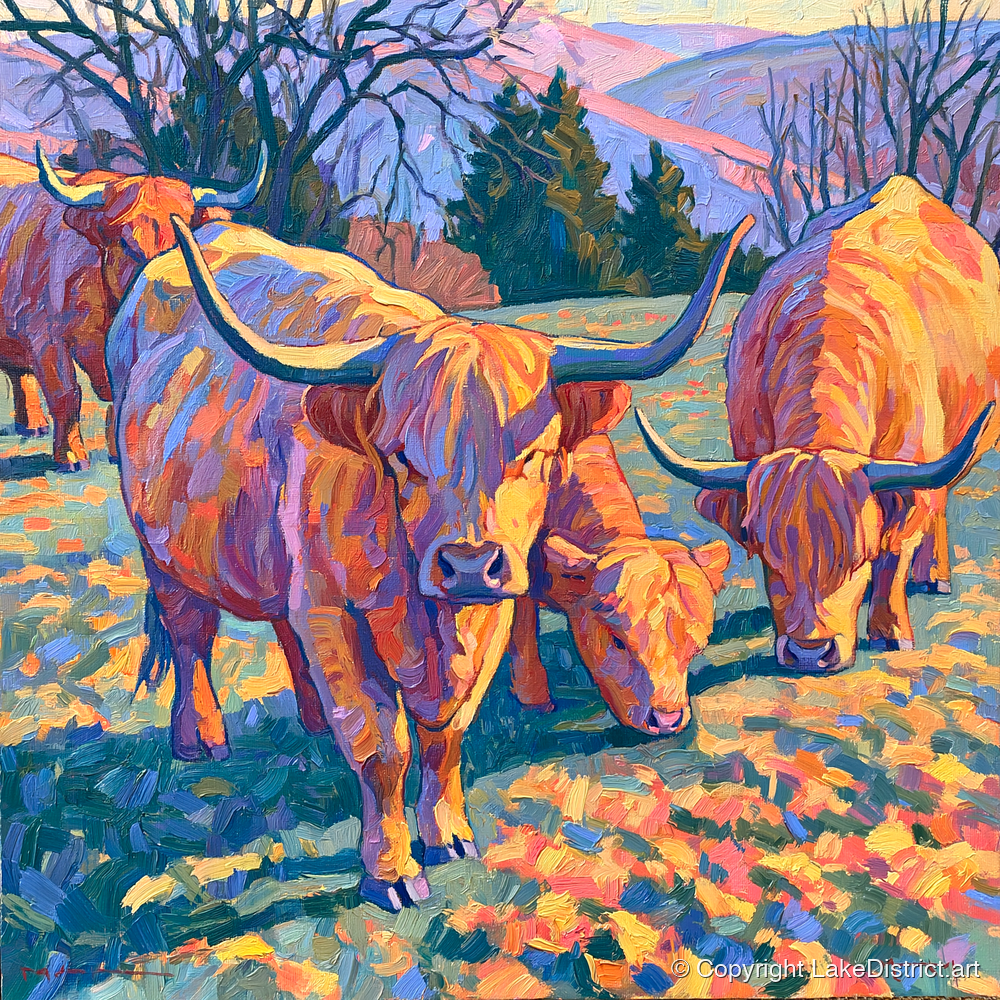Highland Cattle in Golden Fell Light - lake district wildlife art print and canvas by Celia Harding A.I