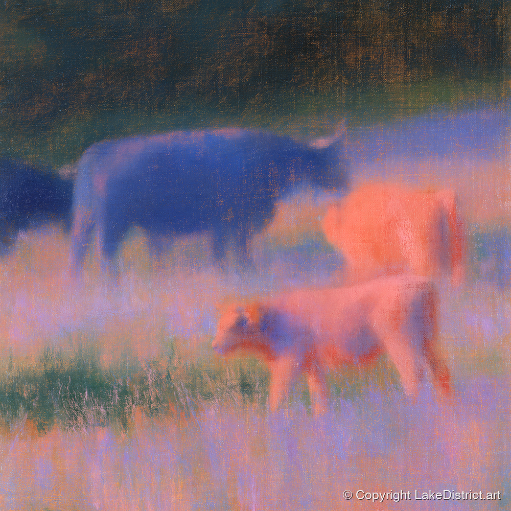 Highland Cattle in Twilight Haze - lake district wildlife art print and canvas by Theodore Vance A.I