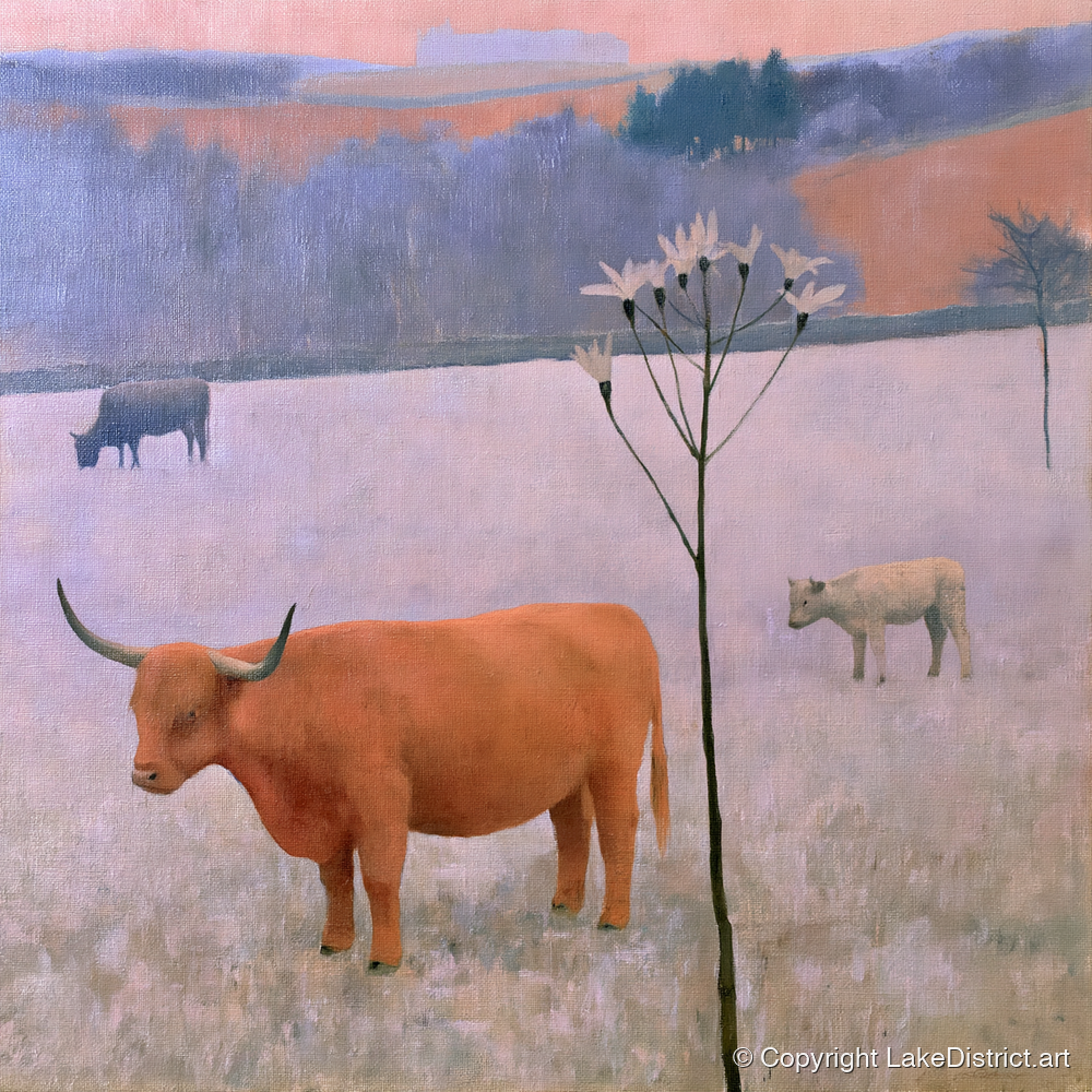 Highland Cattle on Frosted Fells - lake district wildlife art print and canvas by Alistair Thorne A.I