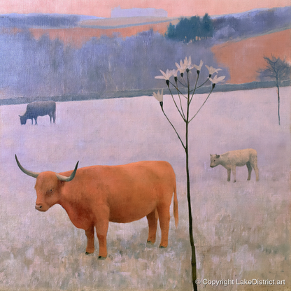Highland Cattle on Frosted Fells - lake district wildlife art print and canvas by Alistair Thorne A.I