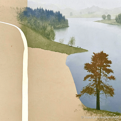 Lone Tree at Tarn Hows - lake district lake art print and canvas by Phillip Marbury A.I