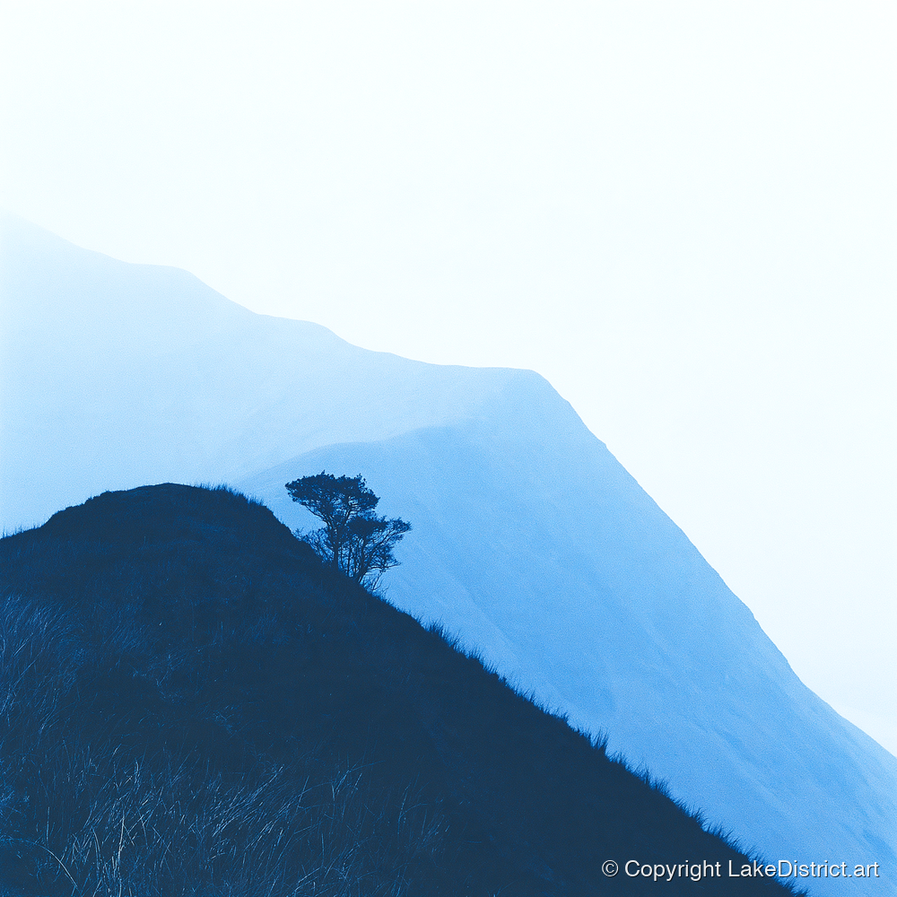 Lone Tree on Blue Ridge - lake district fell art print and canvas by Jasper Flint A.I