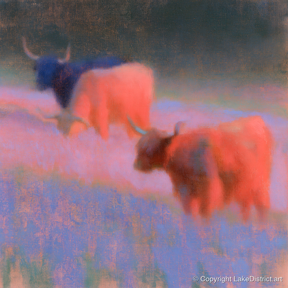 Luminous Highland Cattle Grazing - lake district wildlife art print and canvas by Theodore Vance A.I