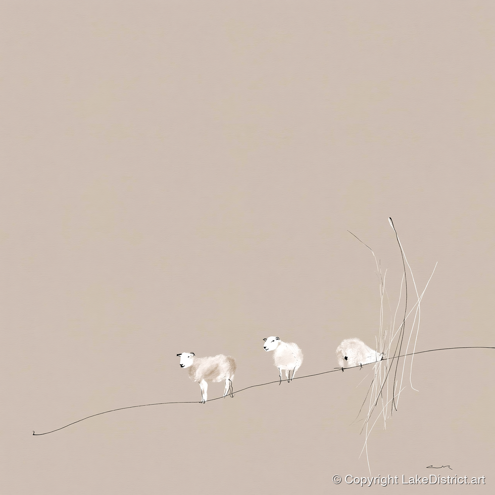 Minimalist Herdwicks on a Fellside - lake district wildlife art print and canvas by Ellis Calder A.I