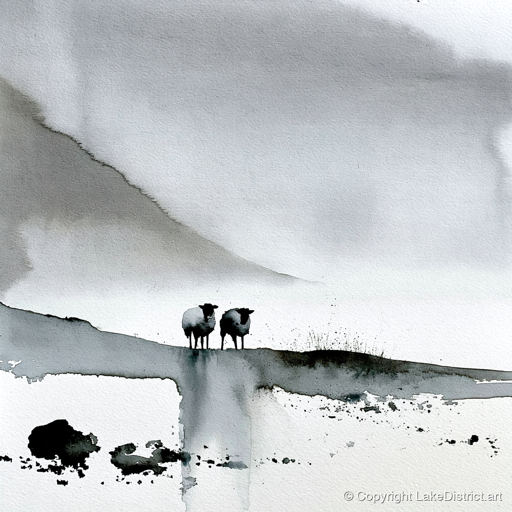 Monochrome Herdwick Sheep on Fellside - lake district wildlife art print and canvas by Adrian Frost A.I