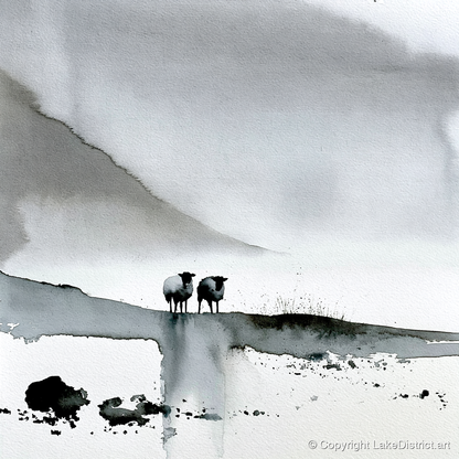 Monochrome Herdwick Sheep on Fellside - lake district wildlife art print and canvas by Adrian Frost A.I