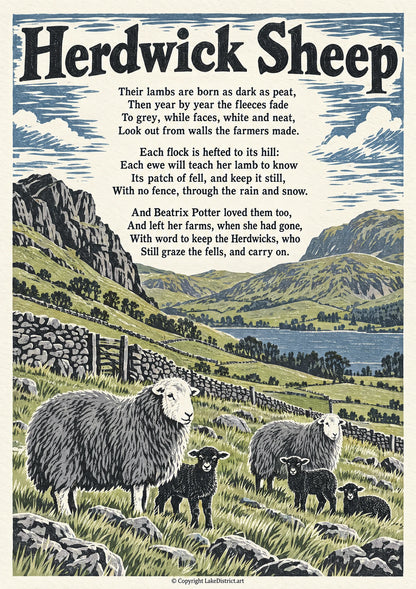 Herdwick Sheep, an illustrated Lake District poem print
