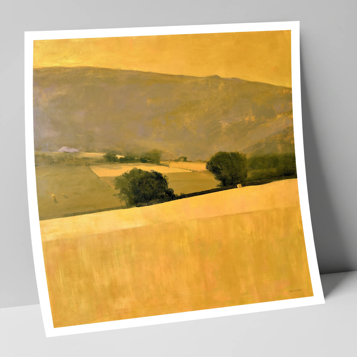Golden Fields in a Dale lake district valley art print