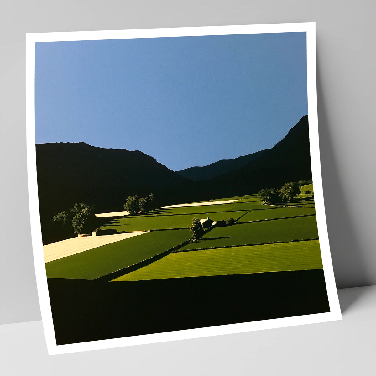 Sunlit Patchwork Fields in a Dale lake district valley art print