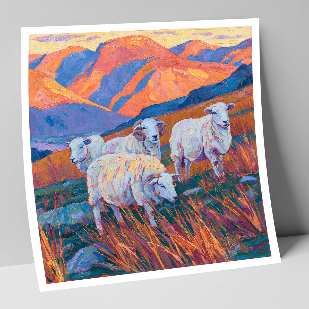 Herdwick Sheep in Sunset Fells lake district wildlife art print