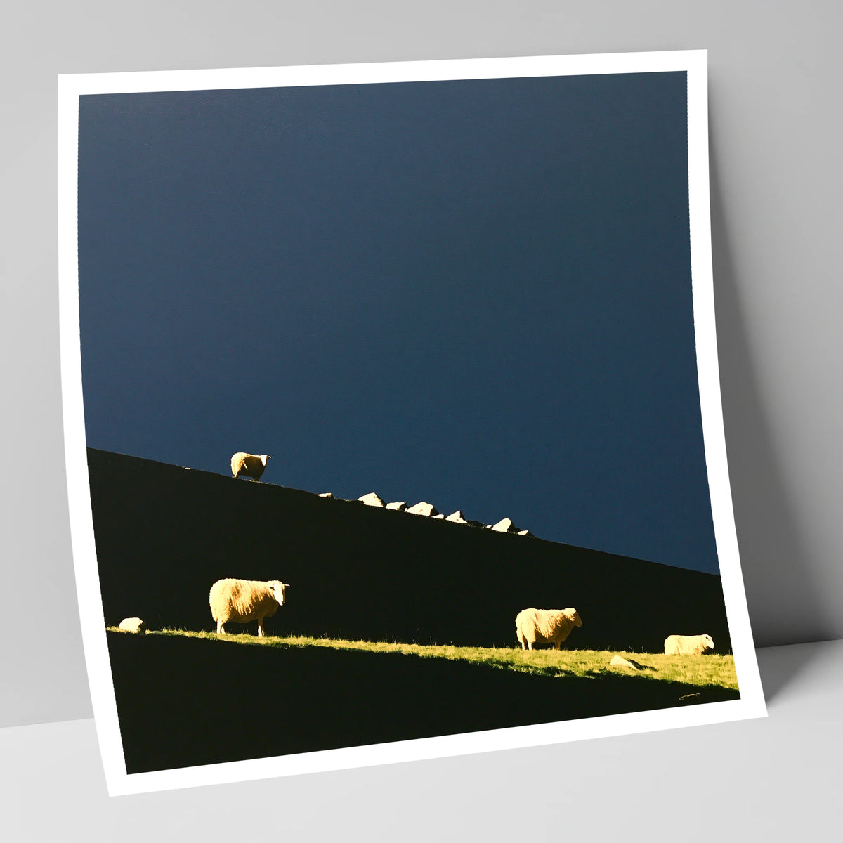 Herdwicks on a Silhouetted Fellside lake district wildlife art print