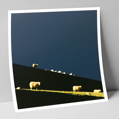 Herdwicks on a Silhouetted Fellside lake district wildlife art print