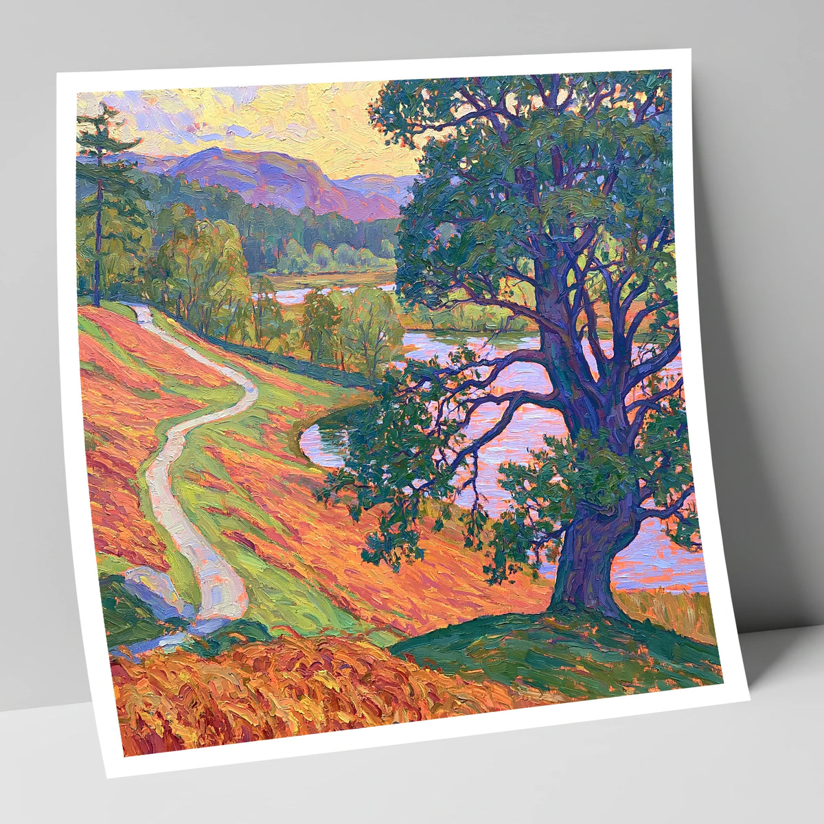 Vibrant Path at Tarn Hows lake district lake art print