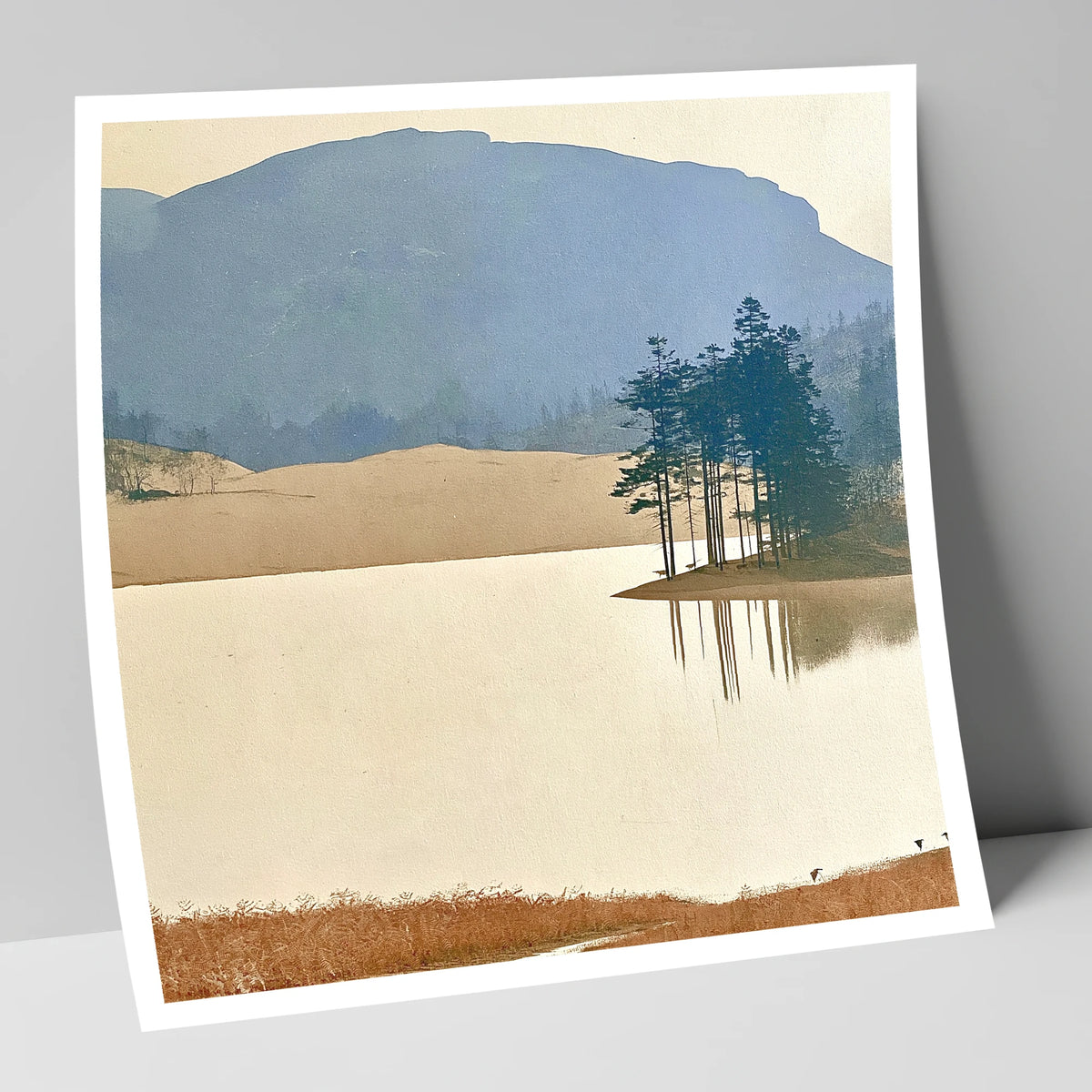 Reflected Pines at Tarn Hows lake district lake art print