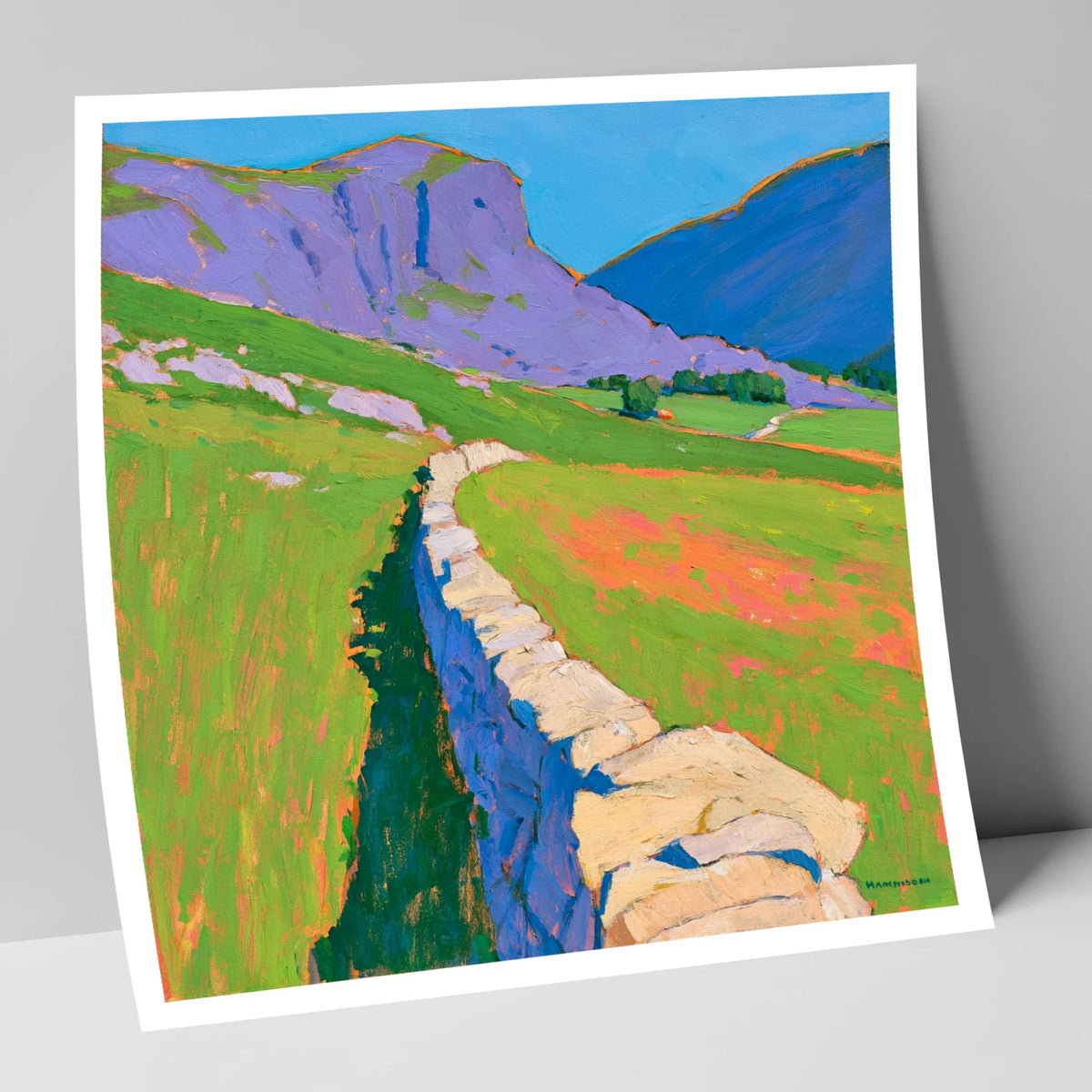 Vibrant Valley Drystone Wall lake district valley art print