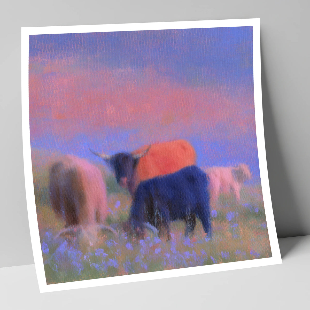Highland Cattle in Pink Twilight lake district wildlife art print