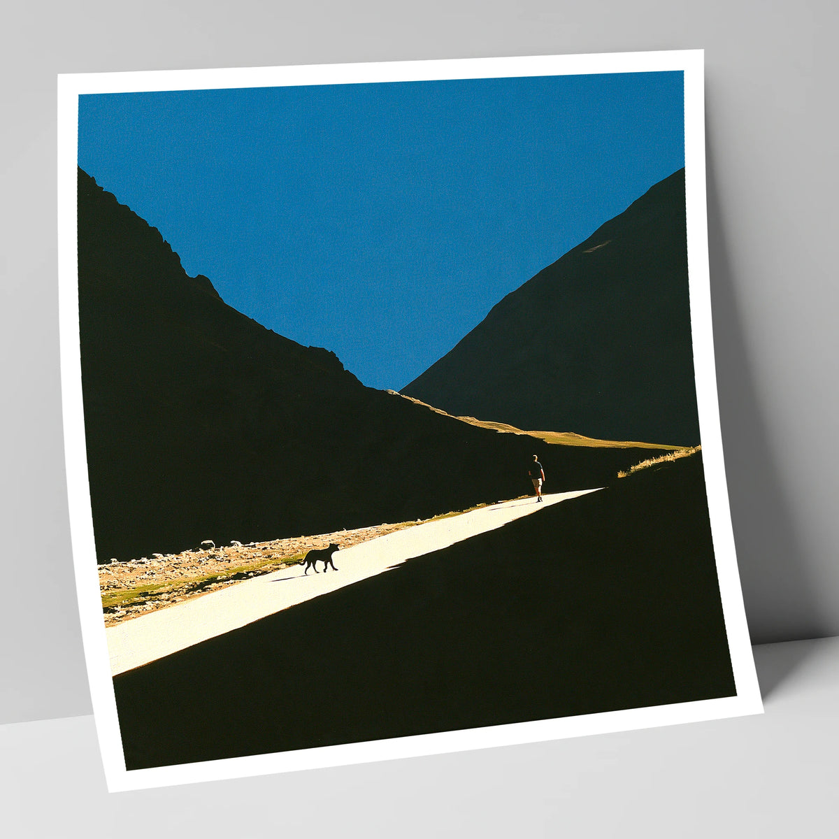 Silhouettes on Sunlit Wasdale Path gifts for dog walkers art print