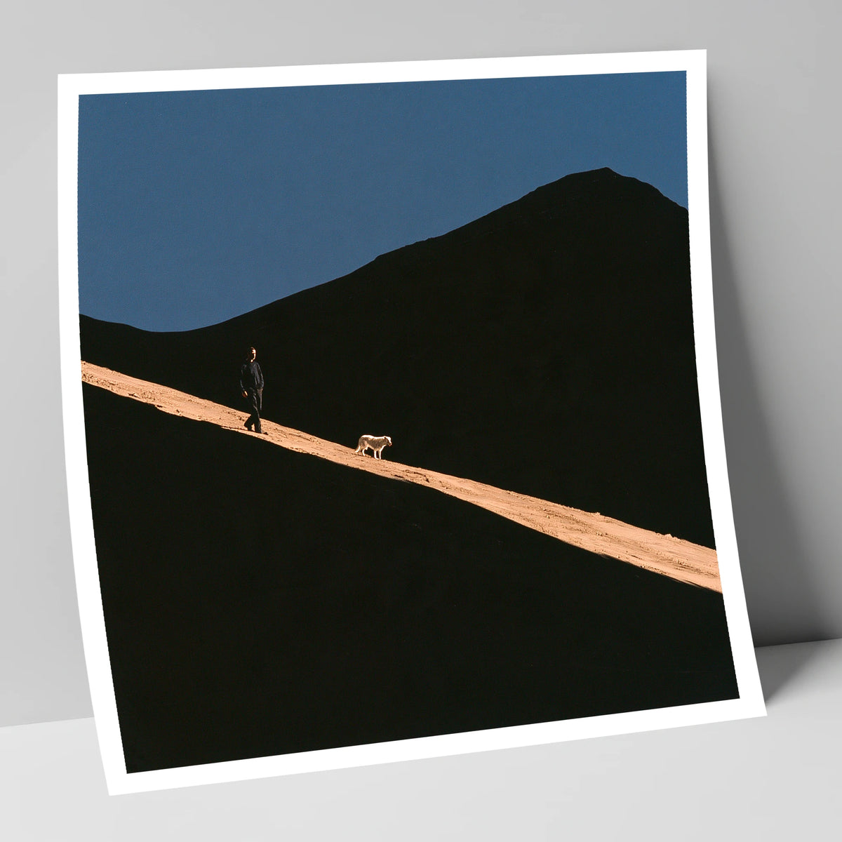 Dog Walker on Sunlit Skiddaw gifts for dog walkers art print