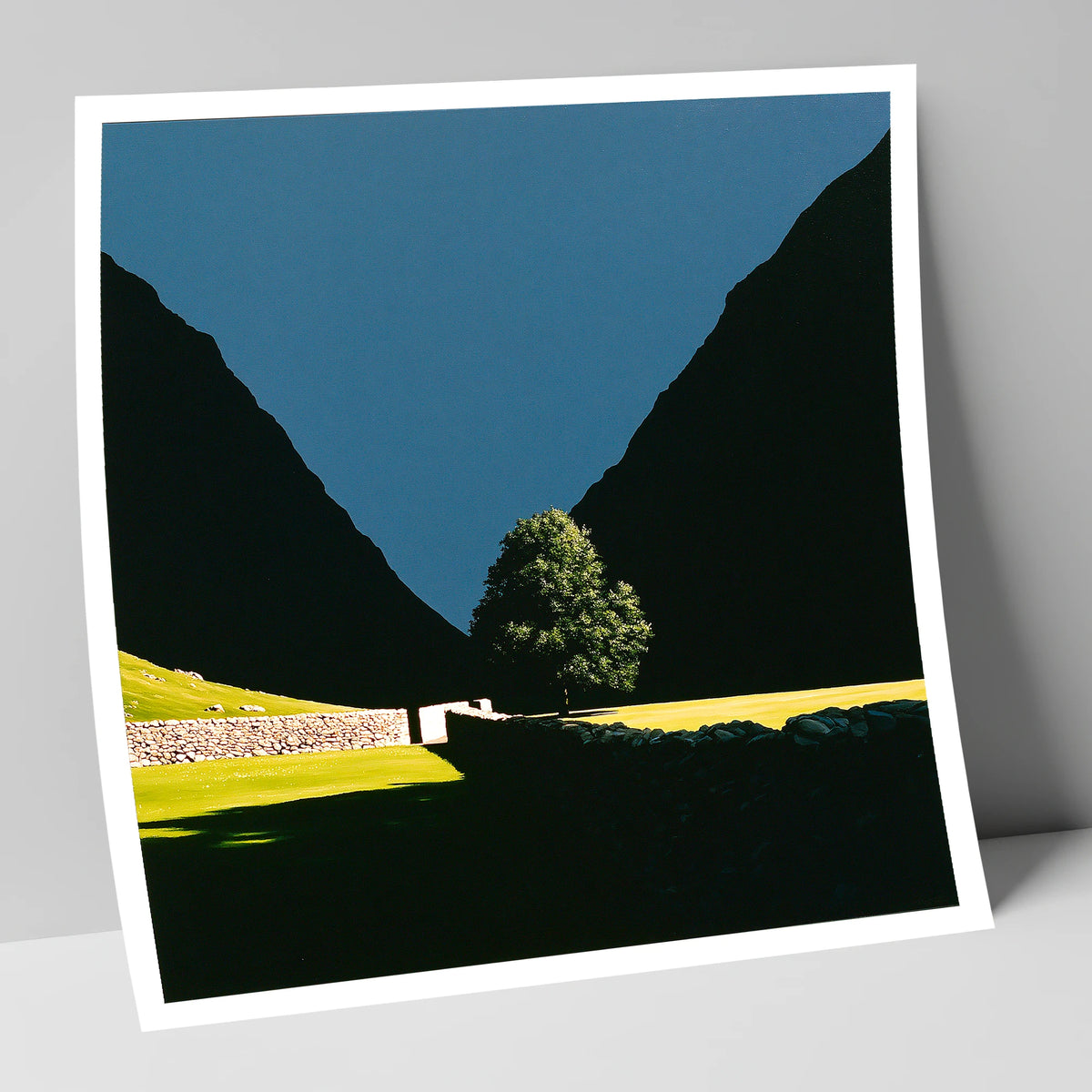 Sunlit Tree Between Silhouetted Fells lake district valley art print