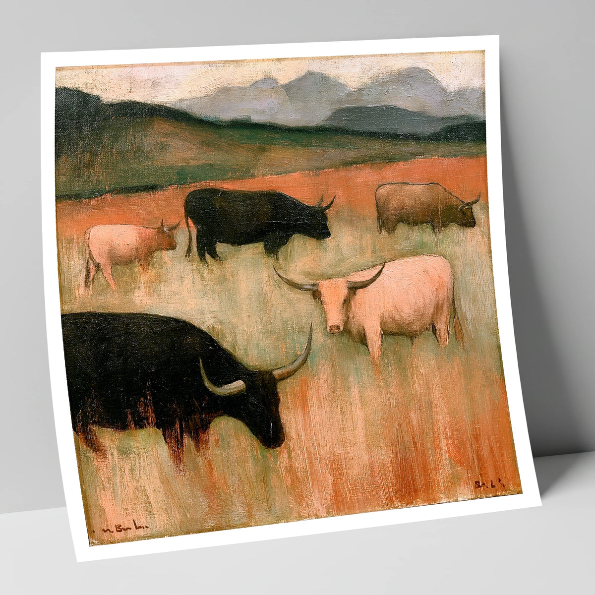 Highland Cattle on Warm Fells lake district wildlife art print