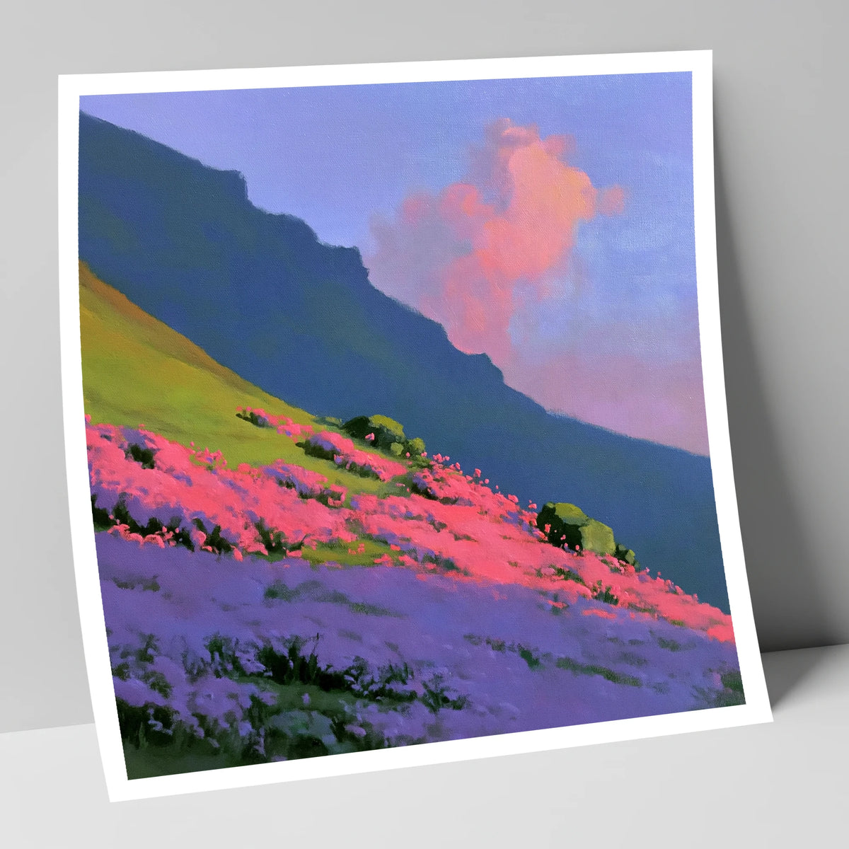 Vibrant Pink Heather Fellside flowers & fellsides art print