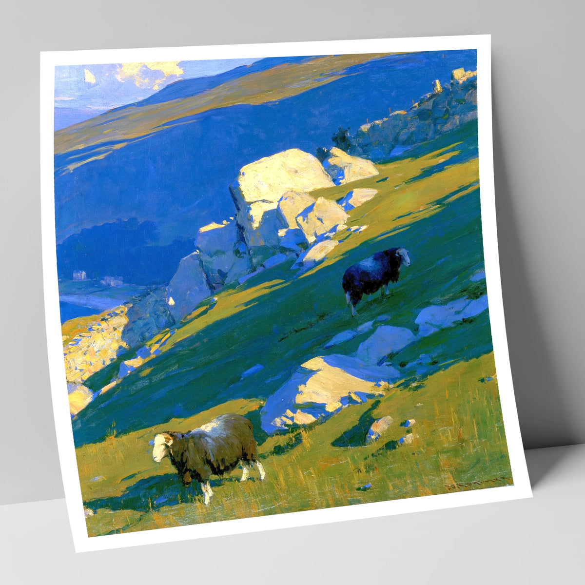 Herdwick Sheep on Sunlit Fell lake district wildlife art print