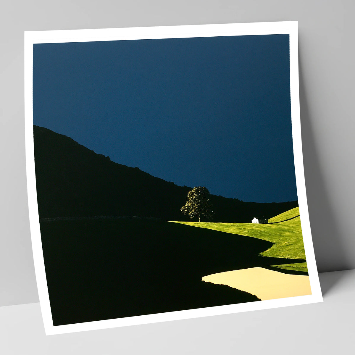 Sunlit Tree and Shadowed Fell lake district sky art print