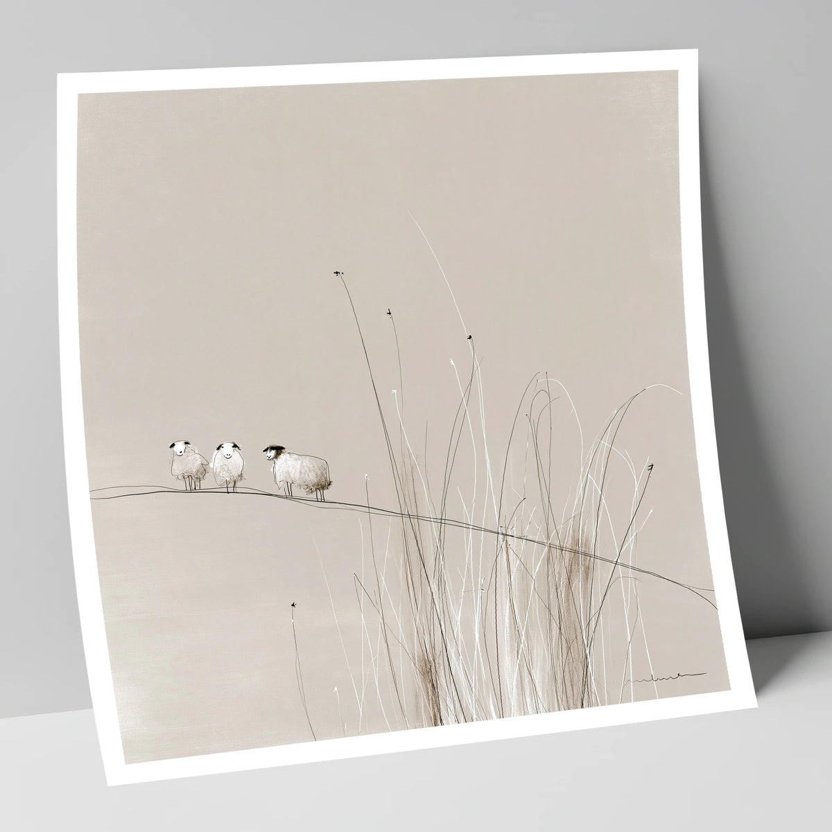 Herdwick Sheep among Fellside Grasses lake district wildlife art print