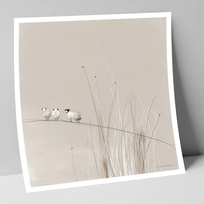 Herdwick Sheep among Fellside Grasses lake district wildlife art print