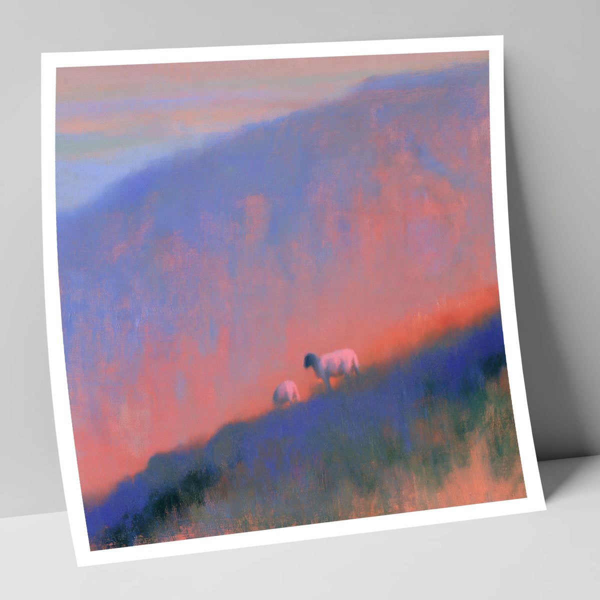 Herdwick Sheep on Twilight Fellside lake district wildlife art print