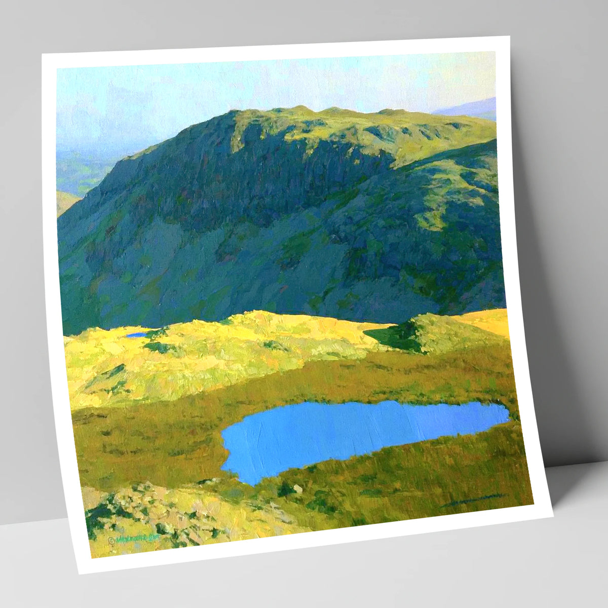 Vibrant Tarn Below Rosthwaite Fell lake district fell art print