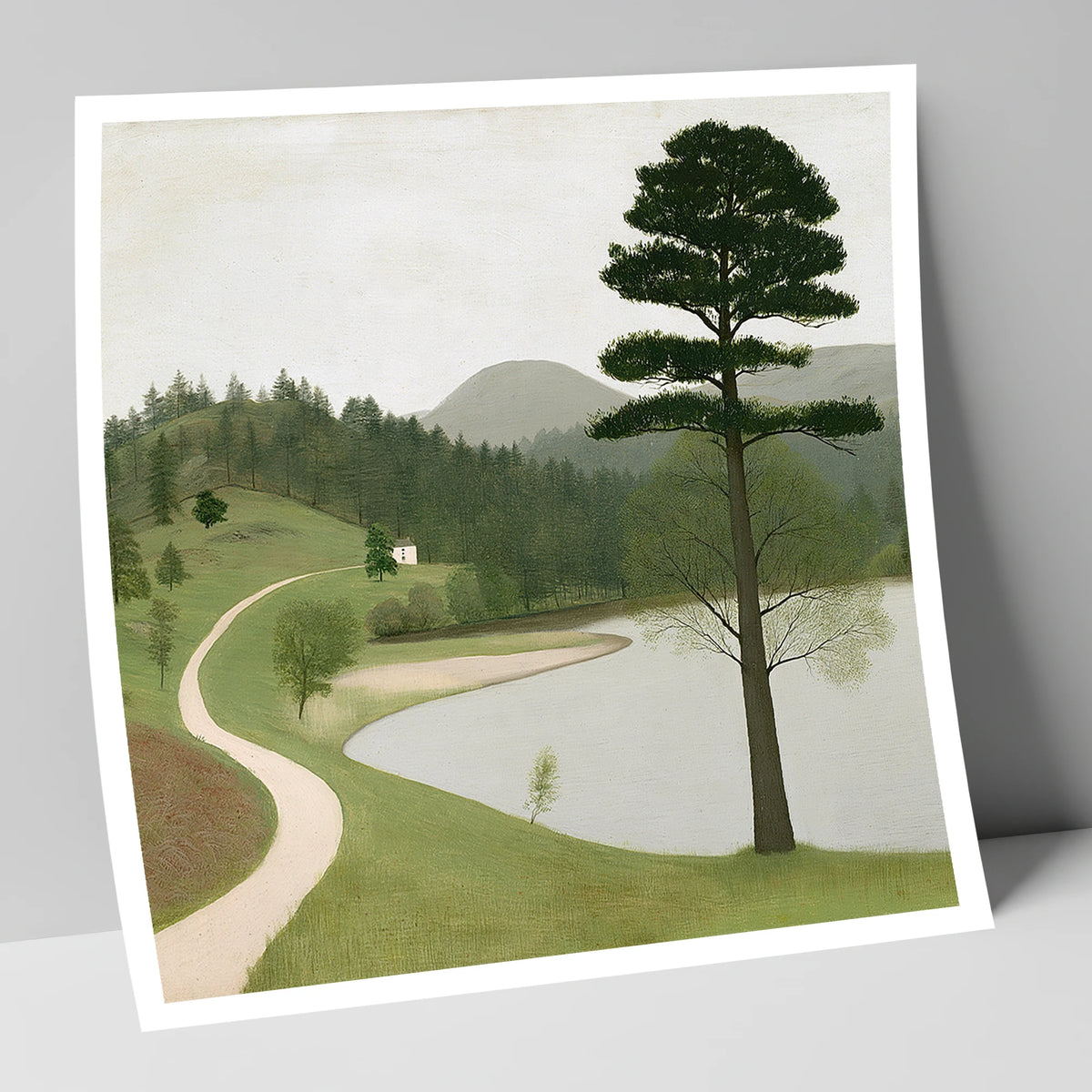 Tall Pine at Tarn Hows lake district lake art print