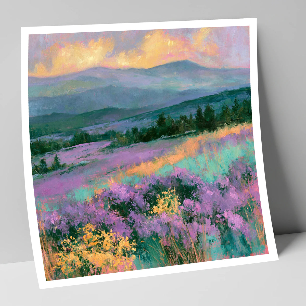 Vibrant Heather Fellside at Sunset flowers & fellsides art print