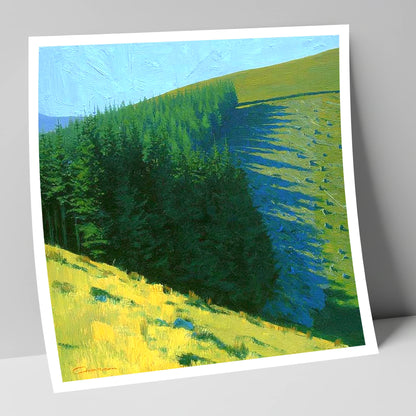 Conifer Shadows on Broom Fell lake district fell art print