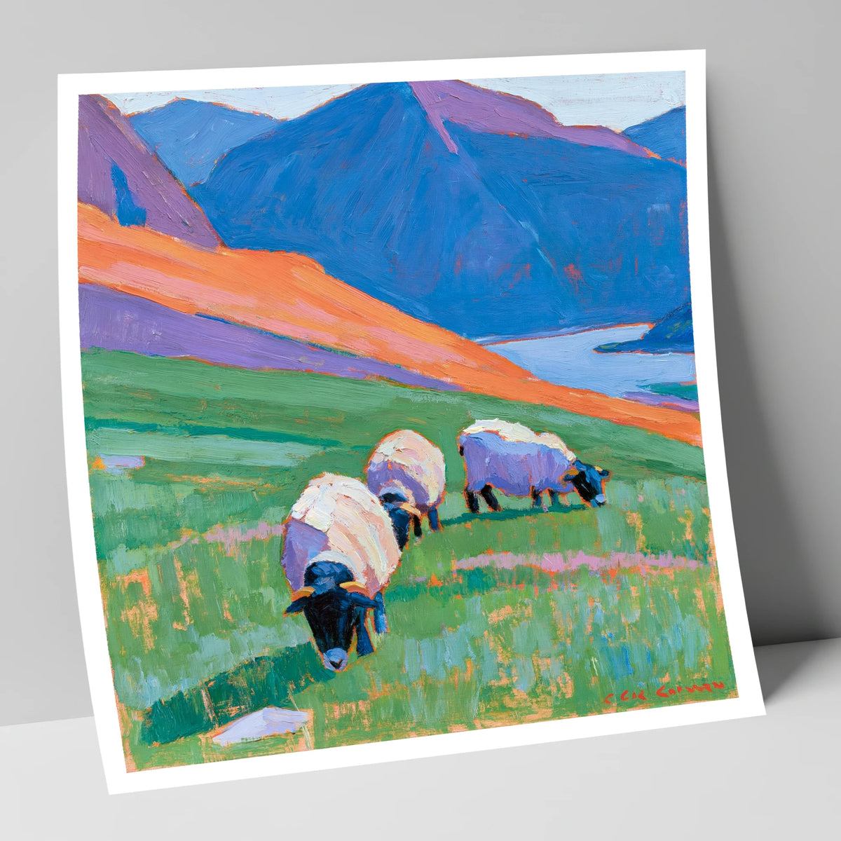 Herdwick Sheep on Colourful Fell lake district wildlife art print
