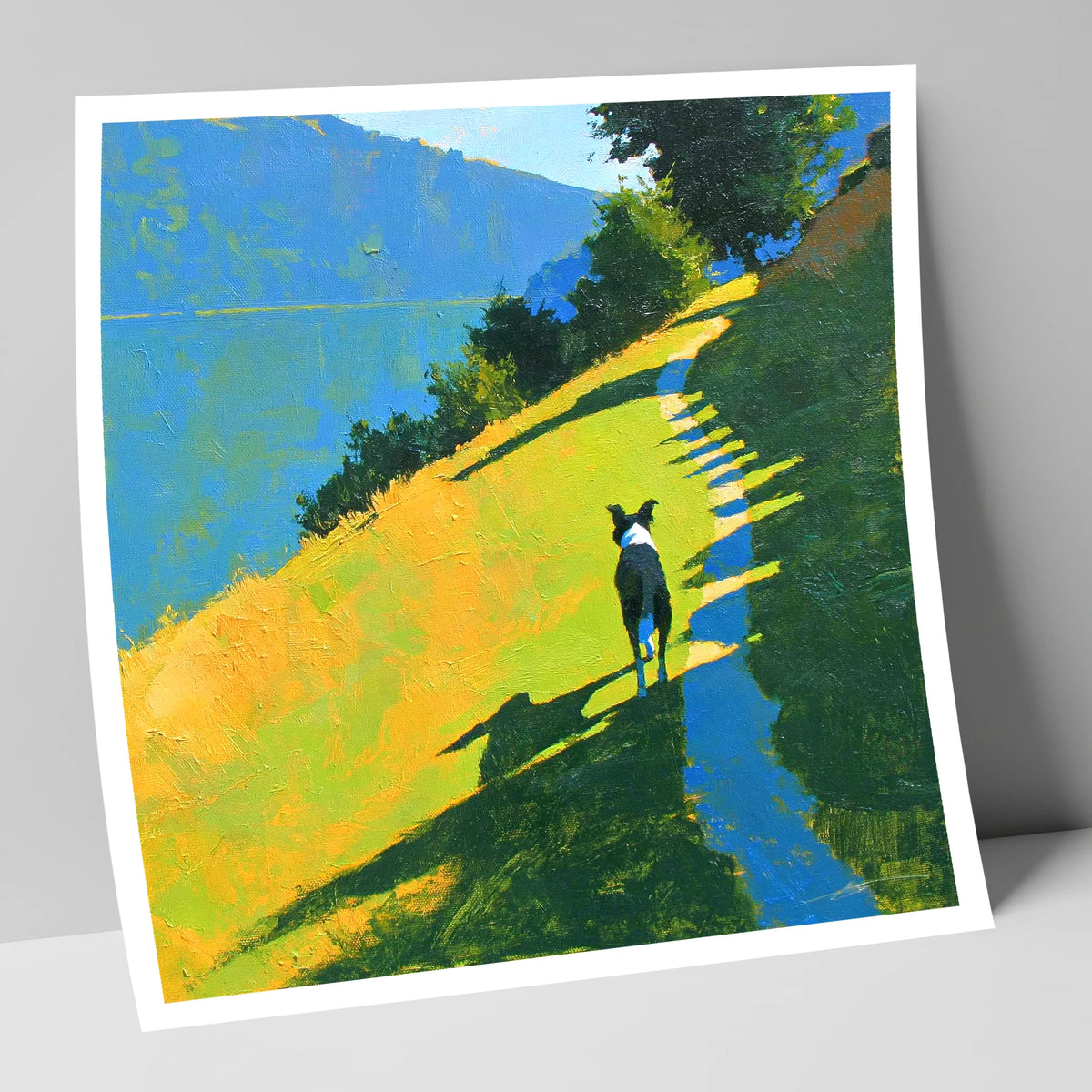 Collie on an Ambleside Path gifts for dog walkers art print