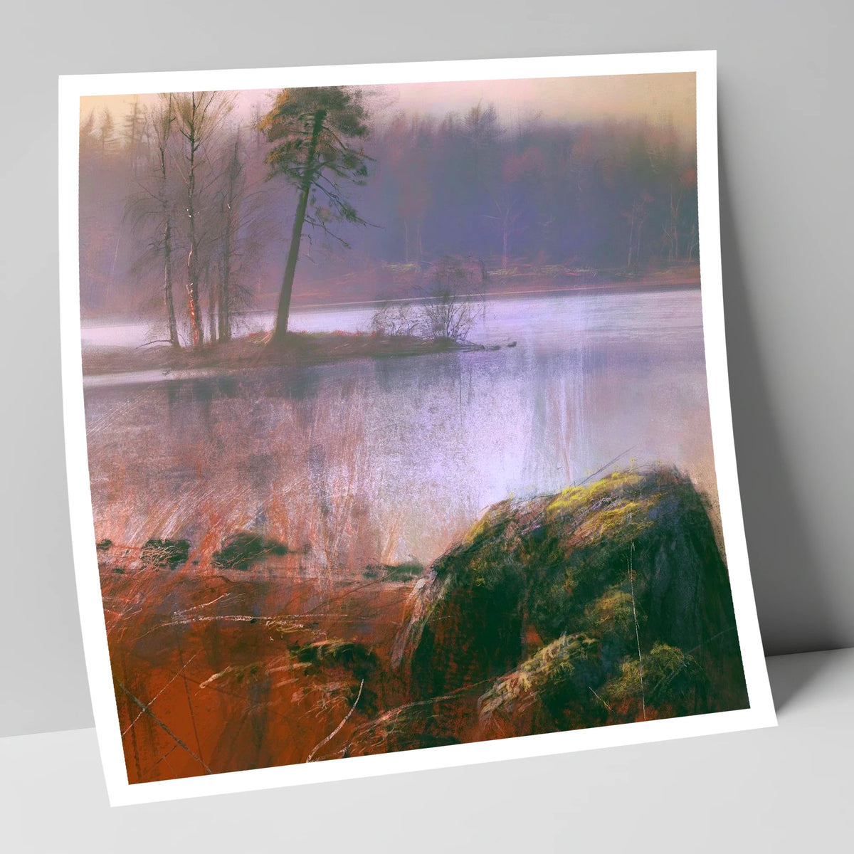 Tarn Hows Island Pine lake district lake art print