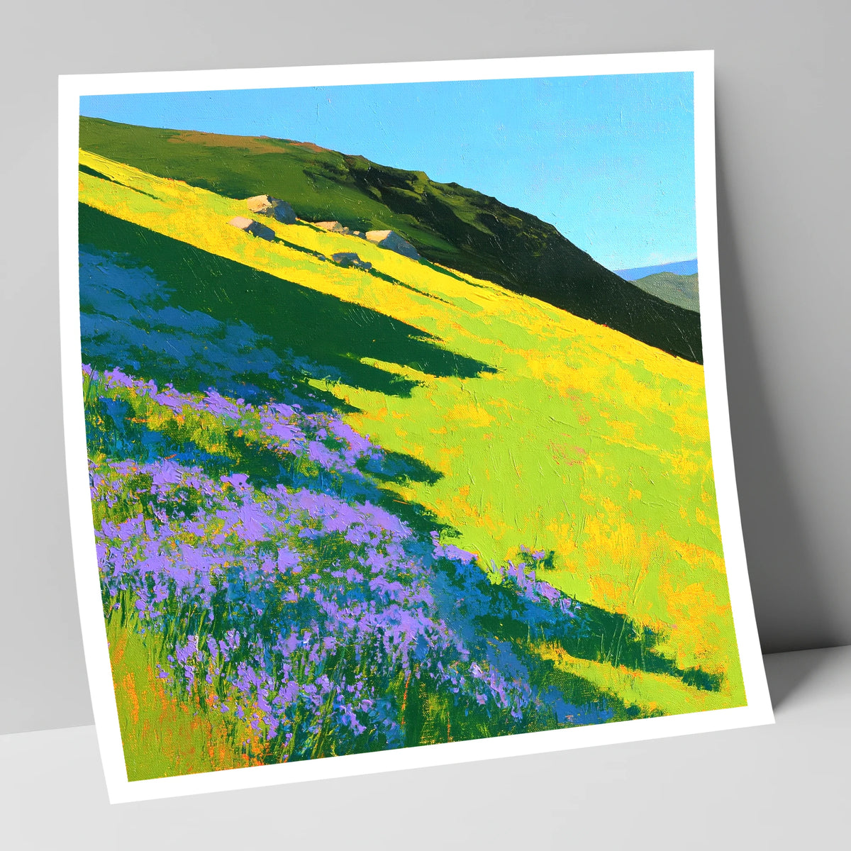 Purple Heather and Fellside Shadows flowers & fellsides art print